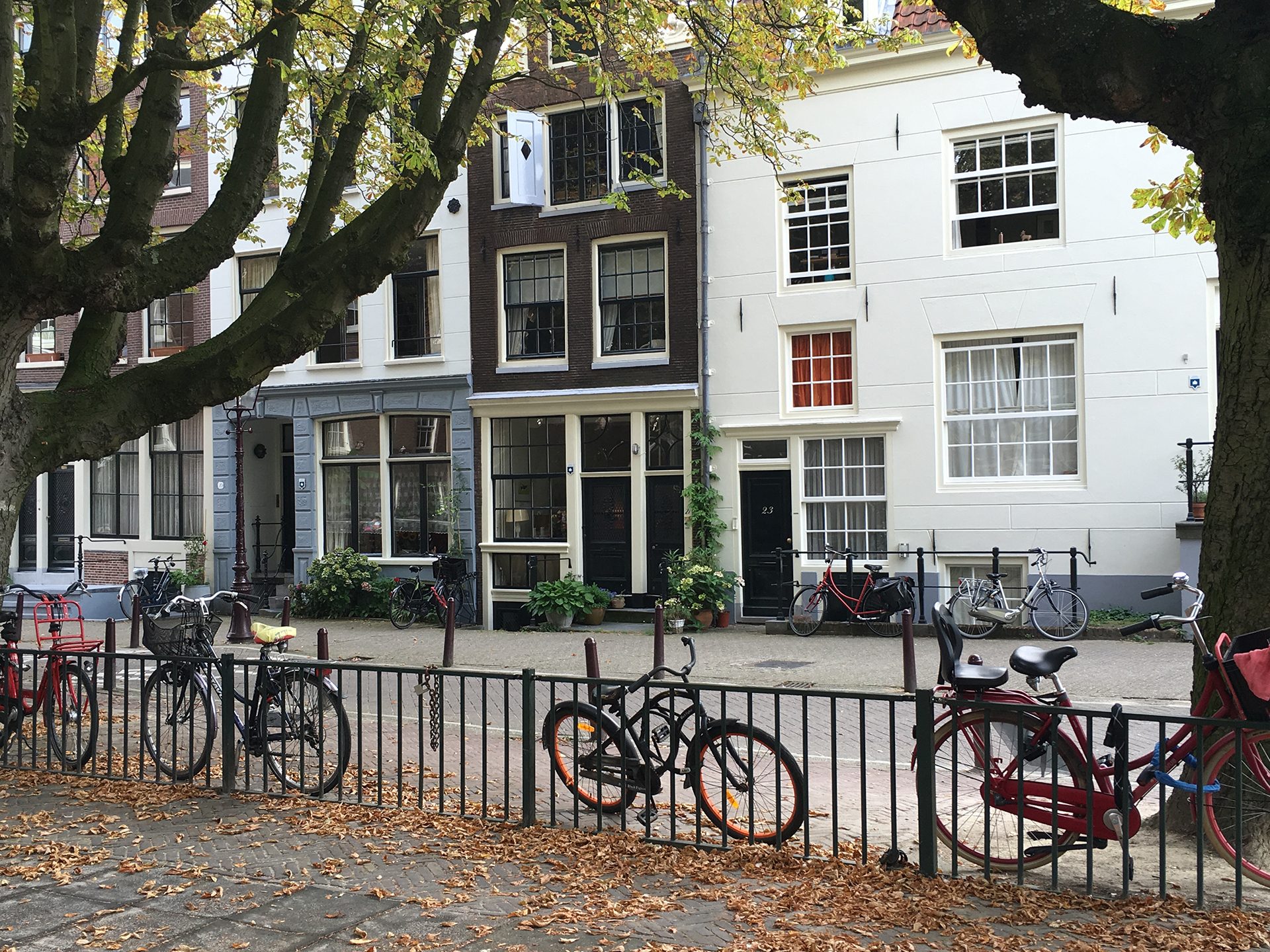 street view with bicycles